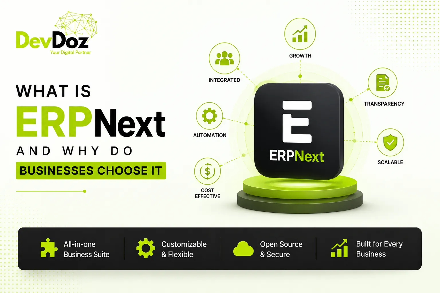 What is ERPNext and why do businesses choose it — DevDoz guide